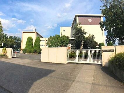 高嶺小学校 1000m(徒歩13分)
