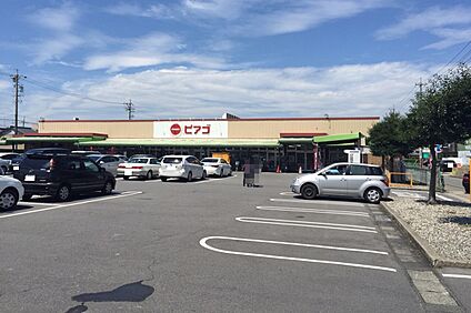 ピアゴ（味鋺店） 600ｍ～660ｍ(徒歩8分～9分)