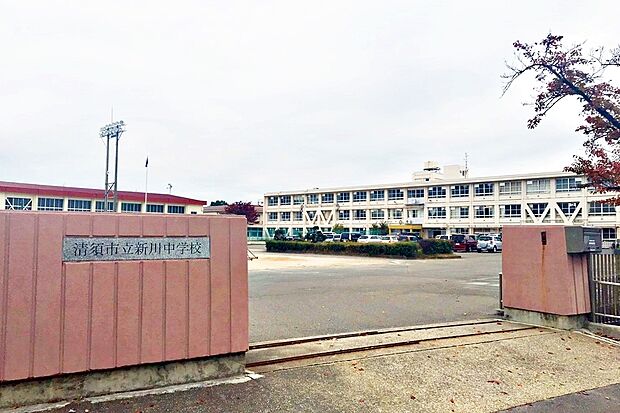 新川中学校(約500m)