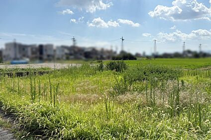 Photo/現地