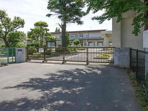 佐倉市立下志津小学校(約1,100m)
