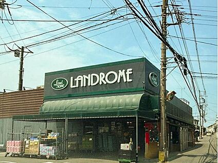 ランドロームフードマーケット三咲店 750m(徒歩10分)