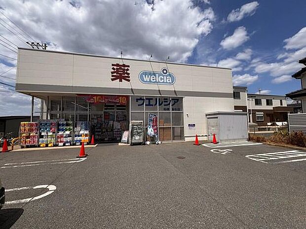 ウエルシア船橋金杉店（約1,000m）