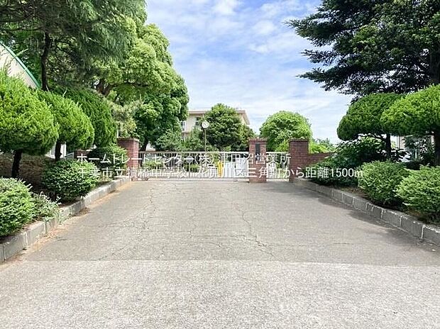 千葉市立犢橋中学校（約1,500m）