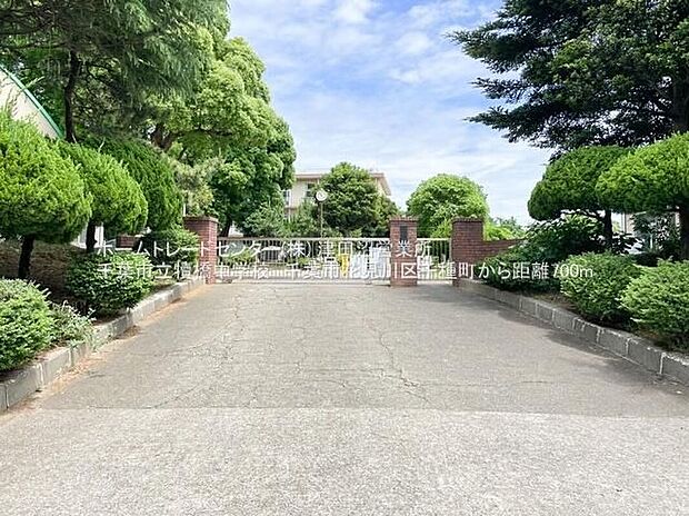 犢橋中学校（約700m）