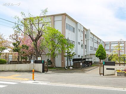 茅ヶ崎市立柳島小学校 650m(9分)