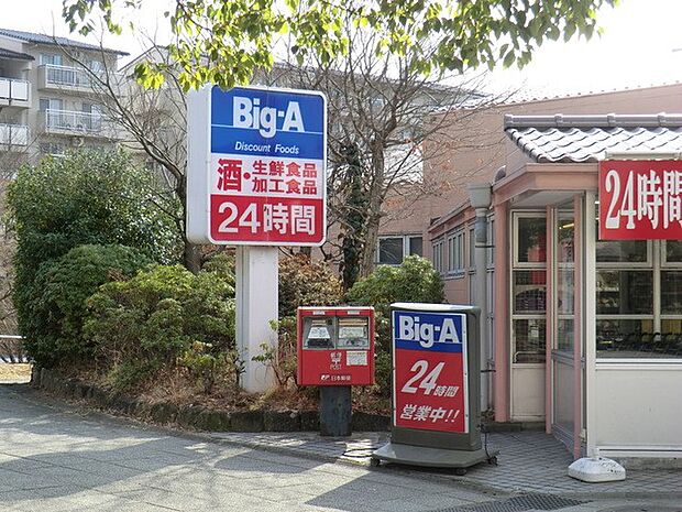 ビッグ・エー 多摩聖ヶ丘店（約550m・徒歩7分）