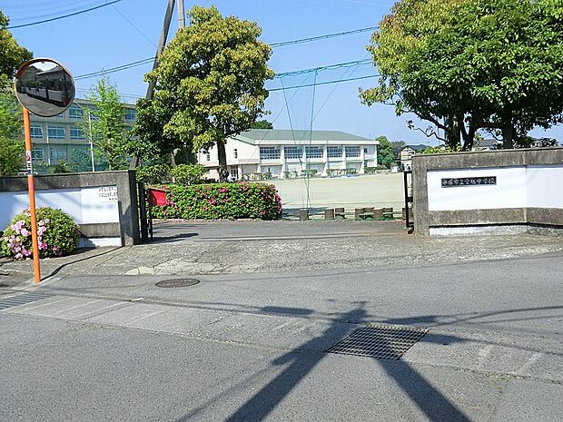 平塚市立金旭中学校(約1,900m・徒歩24分)