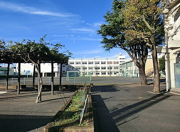 横浜市立南瀬谷小学校（約500m・徒歩7分）