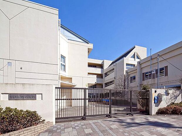 横浜市立桂小学校（約40m・徒歩1分）