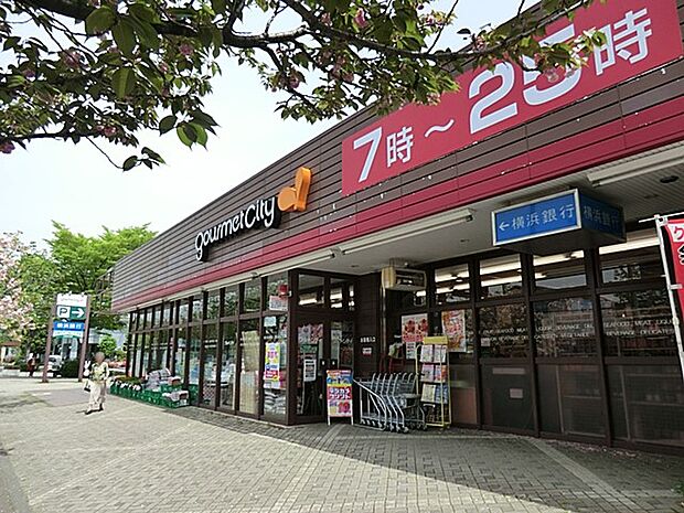 グルメシティ 鶴川緑山店（約600m・徒歩8分）