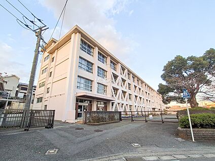 藤沢市立村岡小学校 800m(10分)