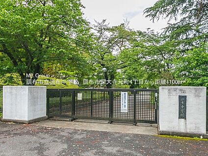 調布市立調布中学校 1200m(15分)