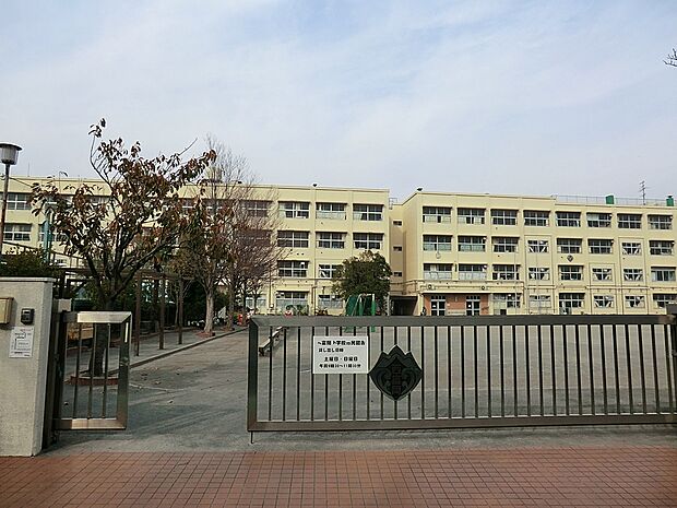 横浜市立西富岡小学校(約523m・徒歩7分)