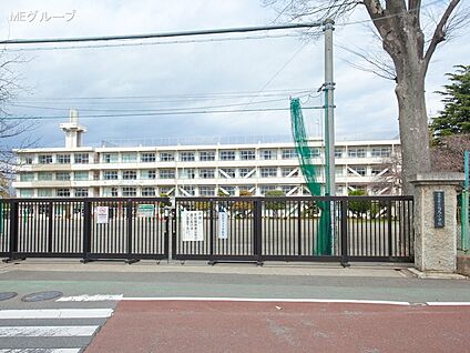 海老名市立有馬小学校 1500m(19分)