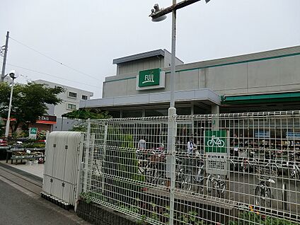 FUJI 鵠沼店 550m(7分)