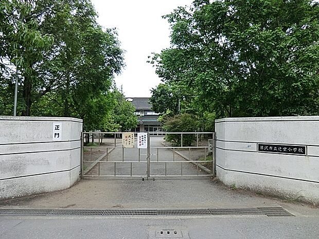 藤沢市立辻堂小学校(約260m・徒歩4分)