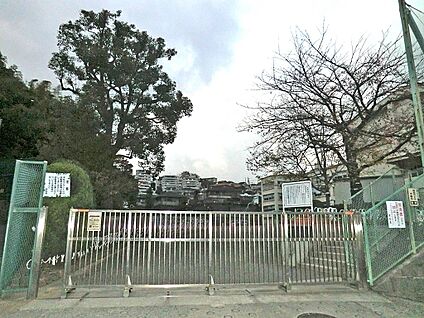 横浜市立日野小学校 750m(10分)