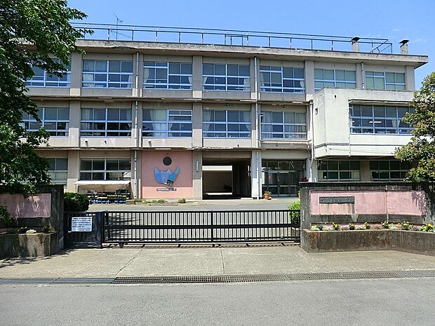 平塚市立城島小学校(約300m・徒歩4分)