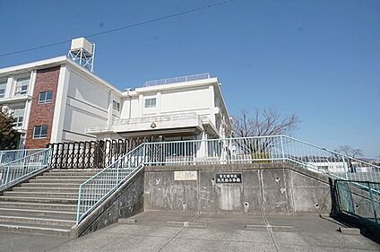南足柄市立南足柄小学校 600m(8分)