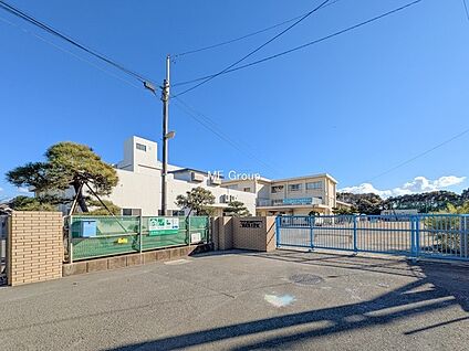 茅ヶ崎市立浜須賀小学校 950m(12分)