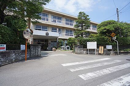 小田原市立芦子小学校 1300m(17分)
