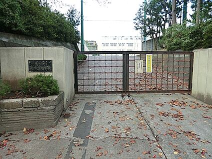 横浜市立美しが丘中学校 2400m(30分)