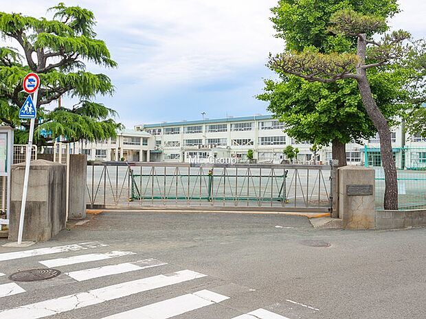 茅ヶ崎市立松林小学校(約880m・徒歩11分)