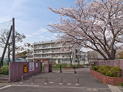 横浜市立小山台小学校 1000m(13分)