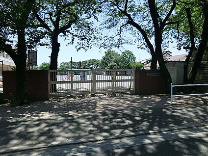 国立市立国立第七小学校 439m(6分)