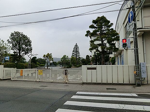 秦野市立西小学校(約600m・徒歩8分)