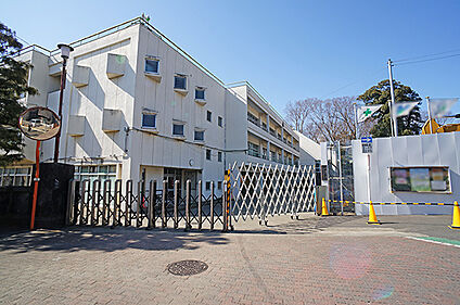 松田町立松田小学校 1200m(15分)