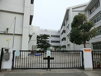 横浜市立小田小学校 350m(5分)