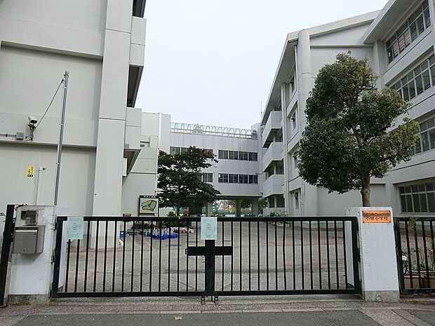 横浜市立小田小学校（約350m・徒歩5分）