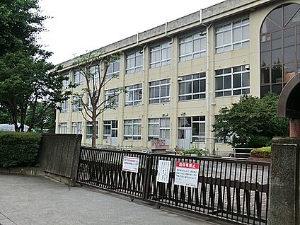 相模原市立若草中学校 400m(5分)