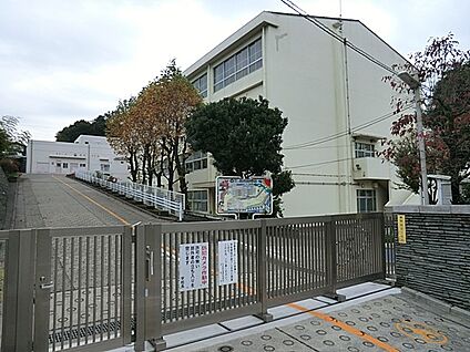 横浜市立藤が丘小学校 500m(7分)