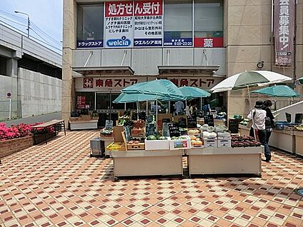 東急ストア藤が丘店 900m(12分)
