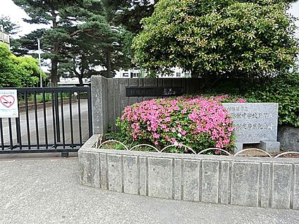 相模原市立弥栄中学校 900m(12分)