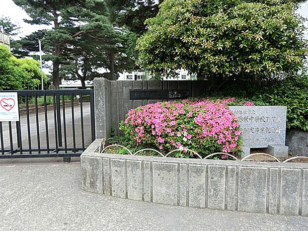 相模原市立弥栄中学校(約900m・徒歩12分)