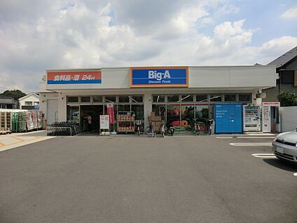 ビッグ・エー町田広袴店 700m(9分)