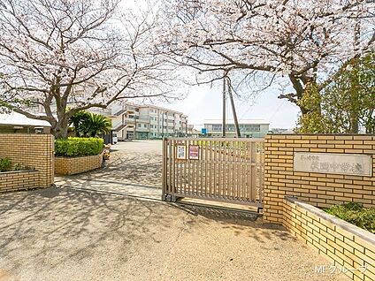 茅ヶ崎市立萩園中学校 600m(8分)