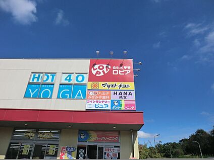 ロピア 八王子みなみ野店 285m(4分)