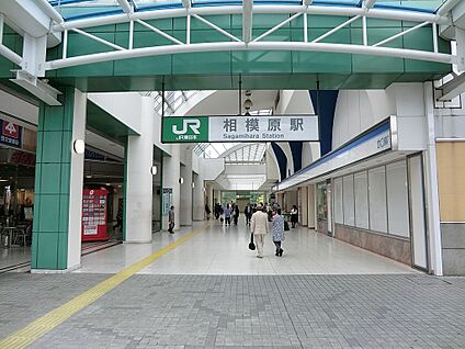 JR横浜線「相模原」駅 5200m(65分)