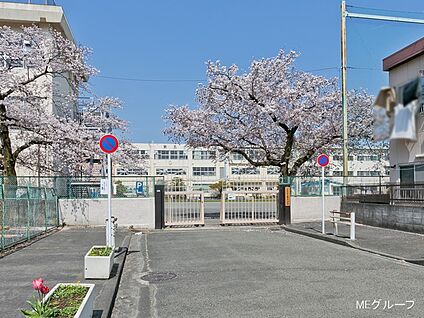 八王子市立第五小学校 400m(5分)