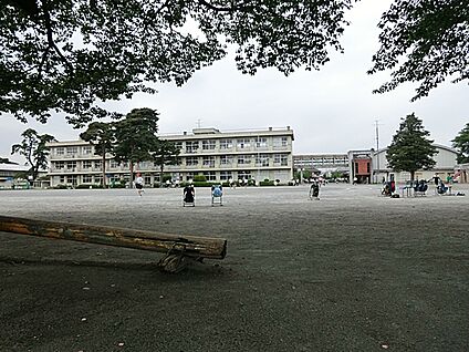 相模原市立弥栄小学校 560m(7分)