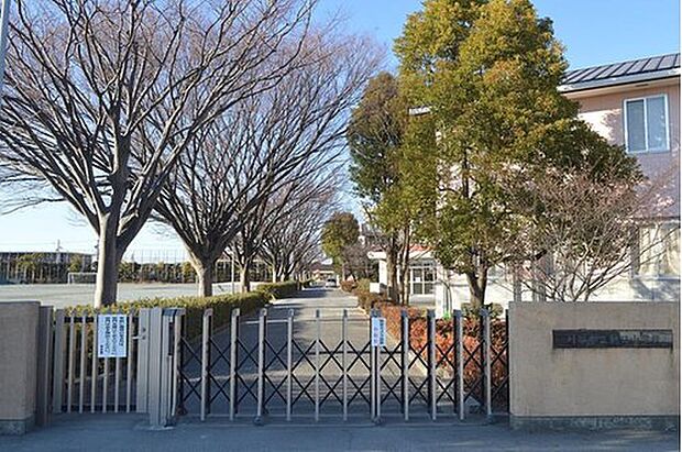 朝日小学校(約550m)