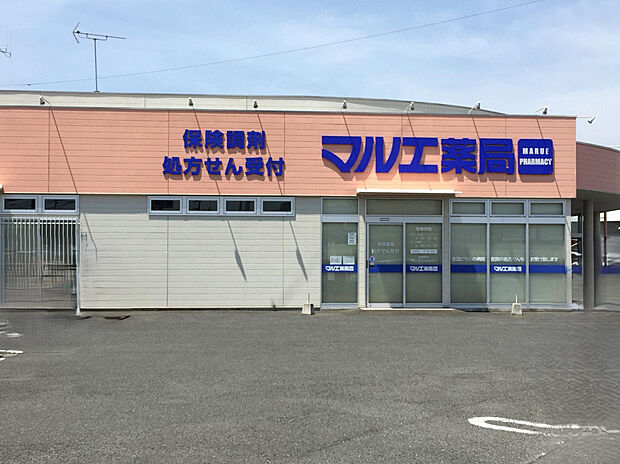 マルエドラッグ倉賀野店（約890m）
