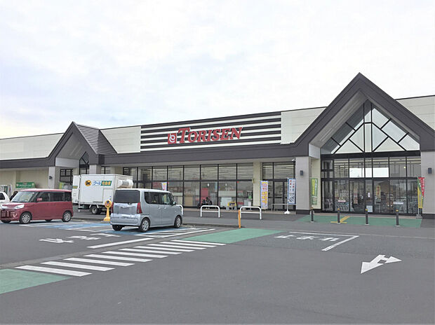 とりせん下田島店（約1,160m）