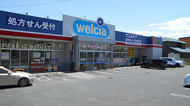 ウエルシア前橋上新田店(約700m)