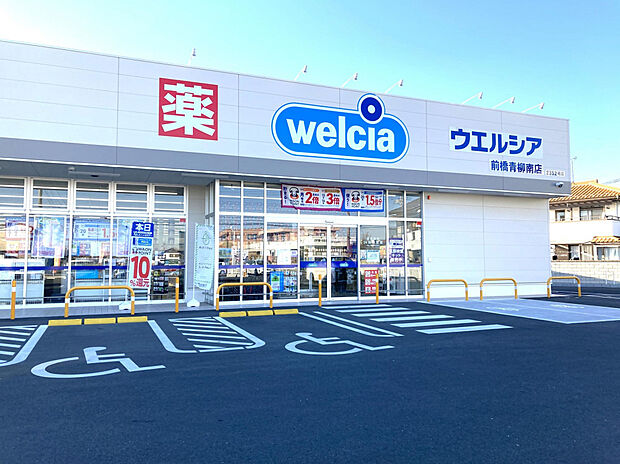 ウエルシア前橋青柳南店（約290m）